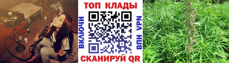 APVP Алушта