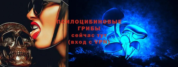 мяу мяу мука Абдулино
